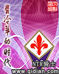 NTR骑士