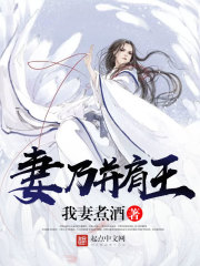 我妻煮酒