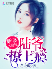 芦小花