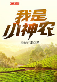 港城月光