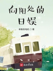 单推发电机