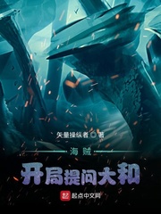 矢量操纵者