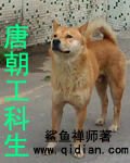 鲨鱼禅师