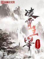 兰陵四喜丸子