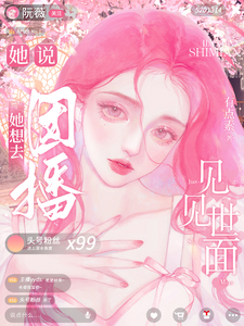 有点素
