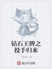 飞熊骑士