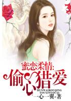 一心一翼